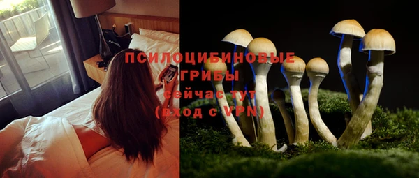 ешки Остров