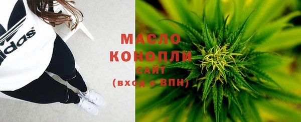 крисы Дегтярск