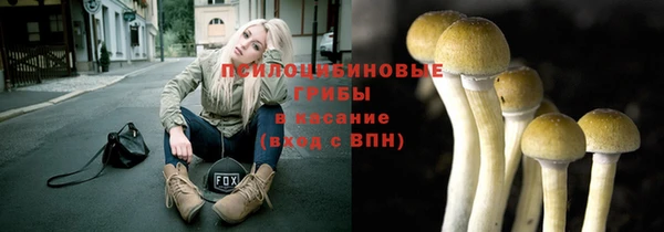 крисы Дегтярск