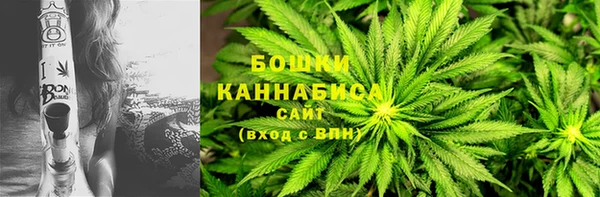 хмурый Дедовск
