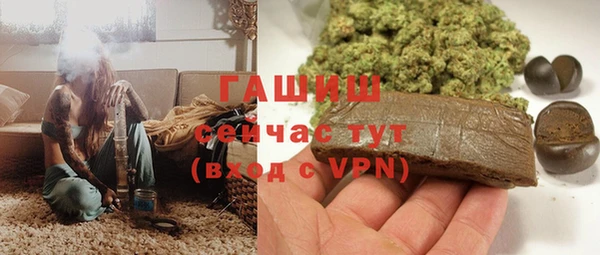 крисы Дегтярск