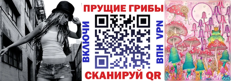 Купить где  Кирс  Галлюциногенные грибы прущие грибы 